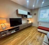 Obývací pokoj v 1-pokojovém bytě s TV stolkem a podlahou s dřevěným dekorem.