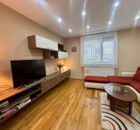 Obývací pokoj v 1-pokojovém bytě s TV, pohovkou a podlahou s dřevěným dekorem.