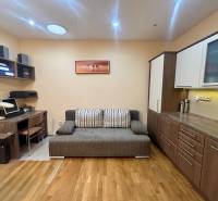 1+kk byt s podlahou s dřevěným dekorem, šedou pohovkou a pracovním stolem.