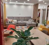 Obývací pokoj v 3-pokojovém bytě s posezením, květinami a podlahou s dřevěným dekorem.