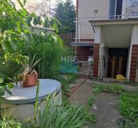 Zahrada rodinného domu na Viesce v Radošovicích s přístřeškem a bujnou vegetací.