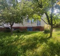 Zahrada u rodinného domu na ulici Vieska v Radošovcích. Zelená tráva a stromy.