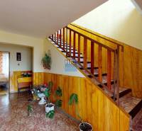 Chodba s dřevěným obložením, schodištěm a pokojovými rostlinami v rodinném domě.