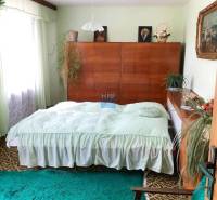 Ložnice v rodinném domě s dřevěným nábytkem, zeleným kobercem a rostlinami.