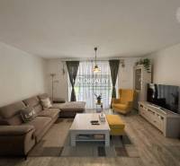 Obývací pokoj v rodinném domě s pohovkou, křeslem, televizí a květinami.