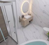 Koupelna s obdélníkovým zrcadlem, skleněným sprchovým koutem a toaletou, podlaha s dřevěným dekorem.