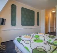 Pokoj v hotelích a penzionech s dvěma postelemi, televizí a květinami na stolku.