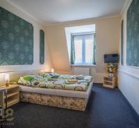 Pokoj s manželskou postelí, kobercovou podlahou, televizorem, židlí a dekoracemi v hotelech a penzionech.