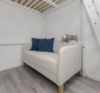 Světlá garsonka s pohovkou, modrými polštáři, dřevěným dekorem a zebrou.