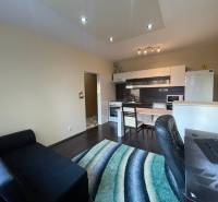 Interiér 1-pokojového bytu s kuchyňským koutem a podlahou s dřevěným dekorem.