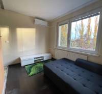 Pokoj v 1-pokojovém bytě s gaučem, zeleným kobercem a podlahou s dřevěným dekorem.