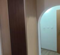 Vestavěná skříň a podlaha s dřevěným dekorem v 3-pokojovém bytě.