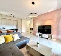 Obývací pokoj v 1+kk bytě s kuchyní, šedou sedačkou, televizorem a jídelním prostorem.