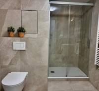 Koupelna v 1-pokojovém bytě s toaletou, sprchovým koutem a živými rostlinami v košících.