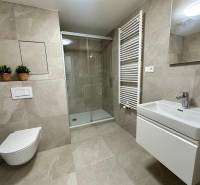 Koupelna v 1-pokojovém bytě s toaletou, sprchovým koutem a moderním umyvadlem.
