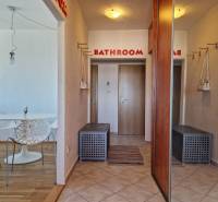 Chodba 3pokojového bytu s vestavěnými skříněmi a podlahou s dřevěným dekorem.