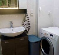 Koupelna v 1-pokojovém bytě se zrcadlovou skříňkou, umyvadlem a pračkou.