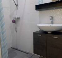 Koupelna s moderním sprchovým koutem v 1-pokojovém bytě, světlé obklady, umyvadlo.