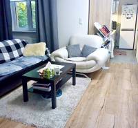 Obývací pokoj v jednopokojovém bytě s podlahou s dřevěným dekorem a pohodlným posezením.