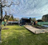 Zahrada u chaty na Nové osadě v Komárně se stromem a trávníkem.