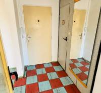 Vstupní hala v 1-pokojovém bytě s barevnou podlahou a zrcadlem na stěně.