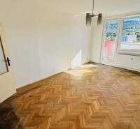 Pokoj s podlahou s dřevěným dekorem v 1-pokojovém bytě, velké okno, dveře s prosklením.