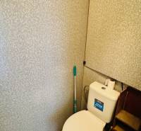 Toaleta v 1-pokojovém bytě s nádržkou a stěnou s reliéfním vzorem.