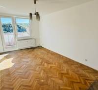 1+kk byt s velkým oknem a podlahou s dřevěným dekorem.