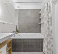 Koupelna v 2-pokojovém bytě s vanou, umyvadlem a sprchovým závěsem v neutrální barevnosti.