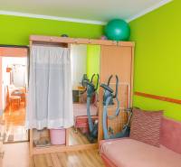 Výrazná zelená stěna a zrcadlová skříň v 2-pokojovém bytě. V pozadí stacionární kolo.