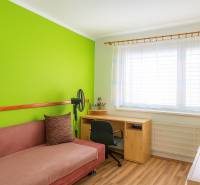 Pokoj s barevnou stěnou, pohovkou, stolem a podlahou s dřevěným dekorem v 2-pokojovém bytě.