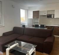 Obývací pokoj s kuchyňským koutem, hnědou sedačkou a podlahou s dřevěným dekorem v 2-pokojovém bytě.