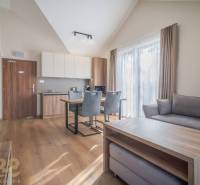 Světlý 2-pokojový byt s podlahou s dřevěným dekorem, pohodlným sezením a kuchyní.