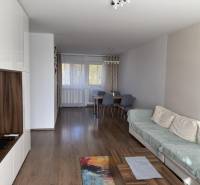 Obývací pokoj ve 4pokojovém bytě s podlahou s dřevěným dekorem a jídelním stolem.