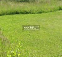 Zelený pozemek v Dulové Vsi, vhodný pro bydlení, obklopený přírodou.