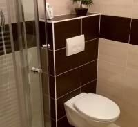 Koupelna se sprchovým koutem, závěsným WC a rostlinou v garsonce.