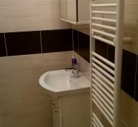 Koupelna garsonky s umyvadlem, zrcadlovou skříňkou a žebříkovým radiátorem.