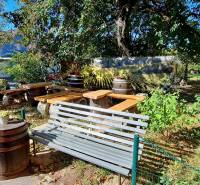 Zahrada s lavičkou a dřevěnými sudy v Bratislavě, Staré Město, na ulici Prokopa Velikého.