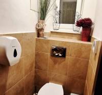 Toaleta v obchodních prostorách s dlažbou a ozdobnými rostlinami.