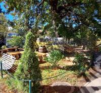 Zahrada s lavičkami a stromy v obchodních prostorech na Prokopa Velikého v Bratislavě - Starém Městě.