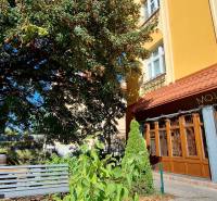 Obchodní prostory ve vinotéce na Prokopa Velikého v Bratislavě - Staré Město obklopené zelení.