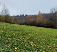 Zeleň na rekreačních pozemcích Konské v Podhradí s podzimními stromy v pozadí.