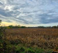 Krajina s poli u Moravan nad Váhom na ulici Na Výhone, kategorie Pozemky - bydlení.