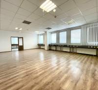 Světlé kanceláře s podlahou s dřevěným dekorem a stropními světly.