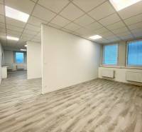 Kanceláře s bílým stropem a podlahou s dřevěným dekorem, dvě velká okna.