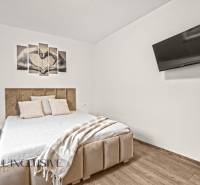 Ložnice v rodinném domě s pohodlnou postelí, televizí a podlahou s dřevěným dekorem.