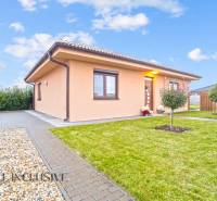 Rodinný dům v Gabčíkovu obklopený zelení, dlažbou a malým stromkem v zahradě.