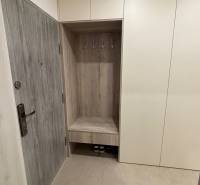 Vstupní chodba se skříňkami a věšáky v 2-pokojovém bytě, dekor dřeva na dveřích.