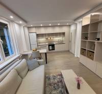 Obývací pokoj s kuchyní a podlahou s dřevěným dekorem v 2pokojovém bytě.