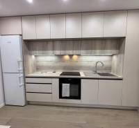 Kuchyňská linka s dřevěným dekorem a vestavěnými spotřebiči v 2pokojovém bytě.